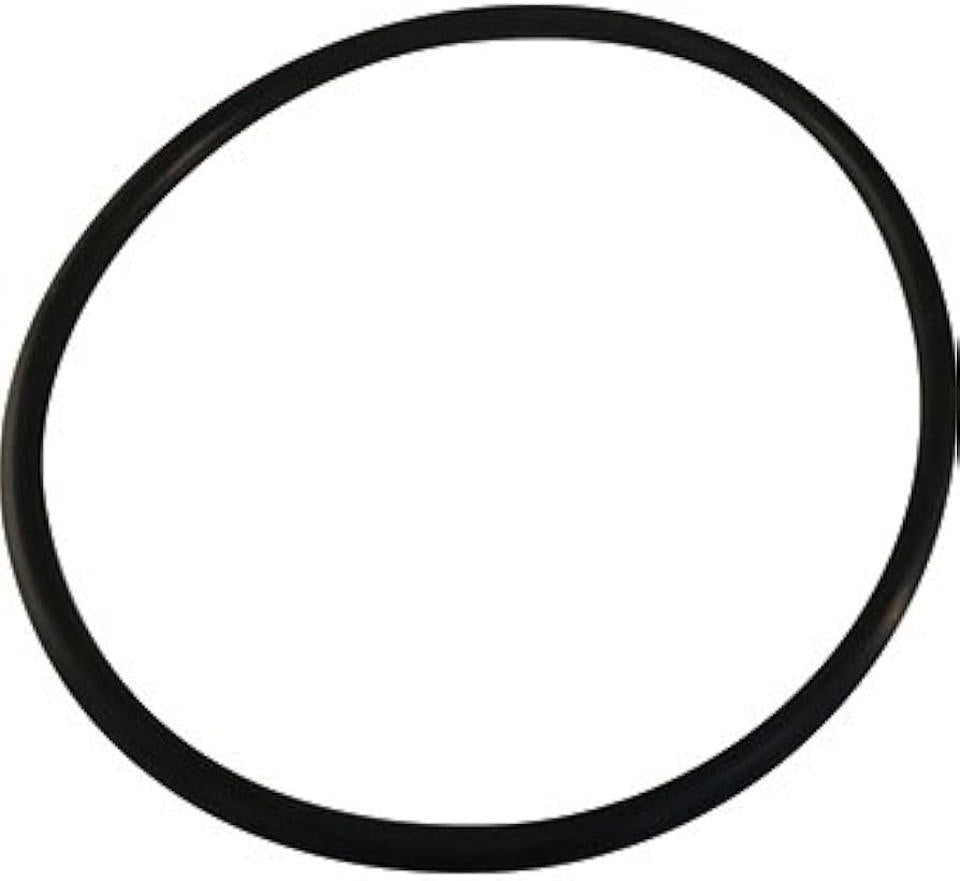 O-318 O-Ring for Pentair WhisperFlo, IntelliFlo & Waterway SMF/Power Defender Pump Lid