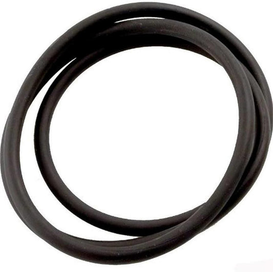 Jandy CS Filter Replacement O-Ring | R0462700 OEM Seal