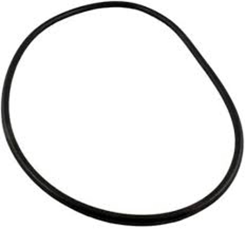 Waterway 805-0448B O-Ring for Pro Clean Pool Filter | Genuine Replacement Part